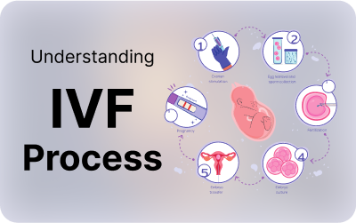 Understanding IVF Process
